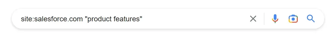 Site Search